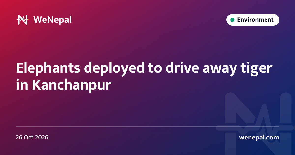 Elephants deployed to drive away tiger in Kanchanpur