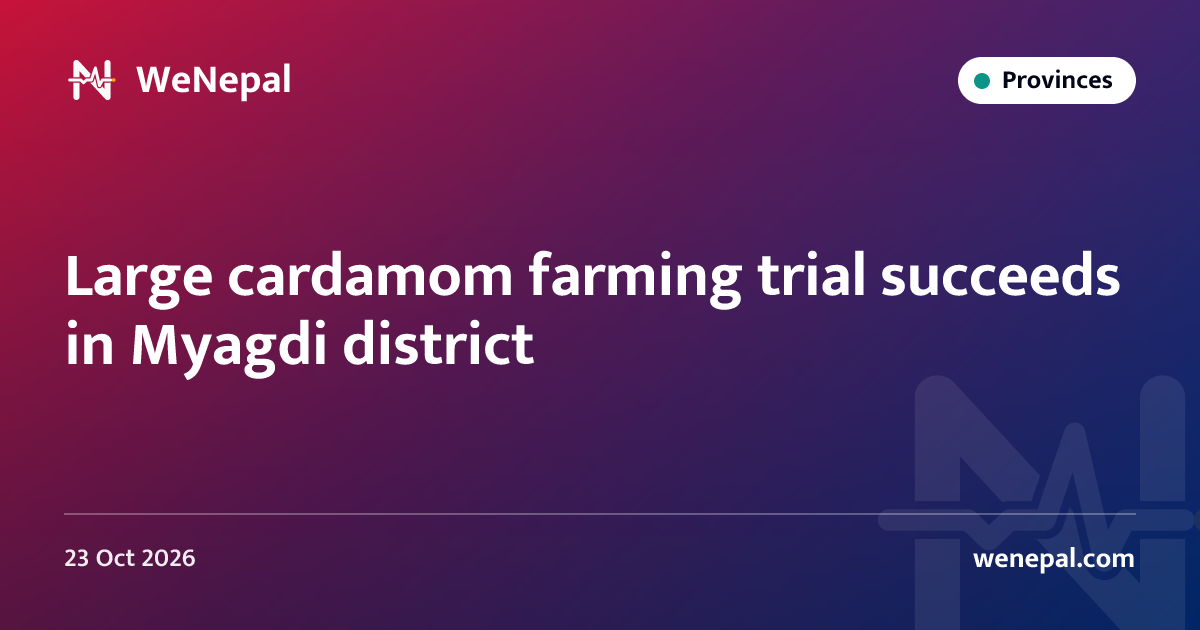 Large cardamom farming trial succeeds in Myagdi district