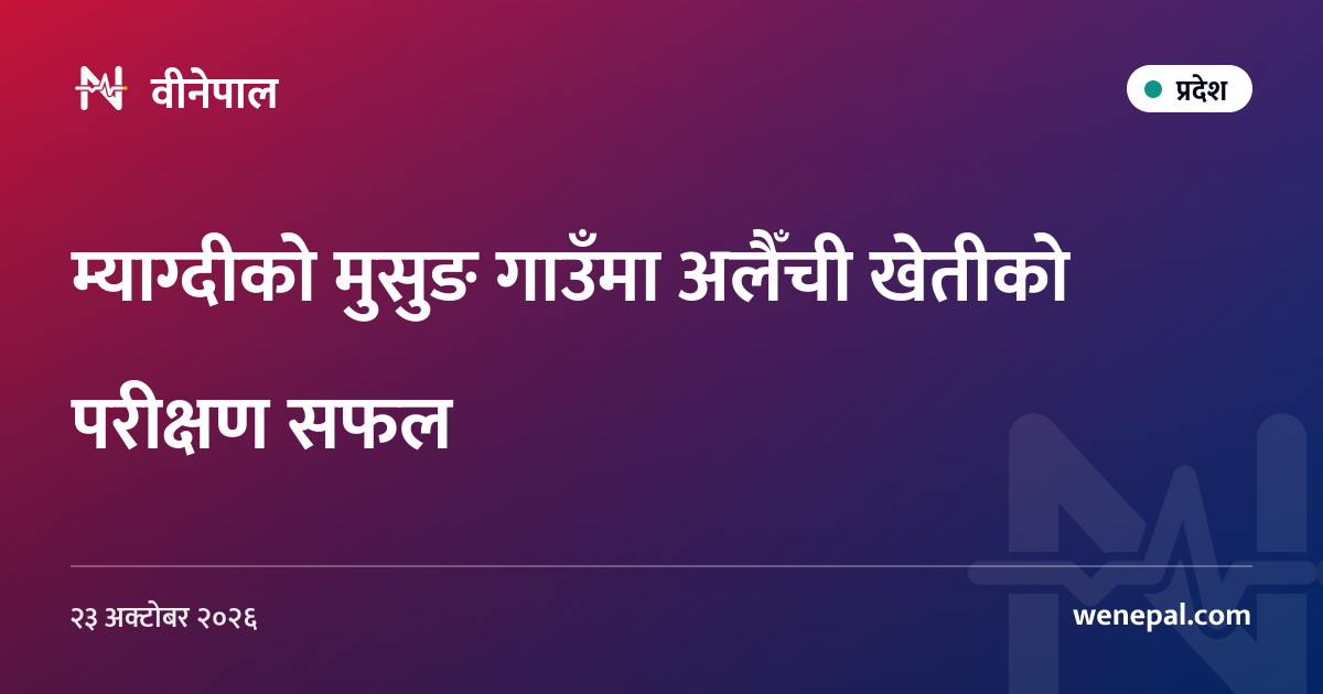म्याग्दीको मुसुङ गाउँमा अलैँची खेतीको परीक्षण सफल