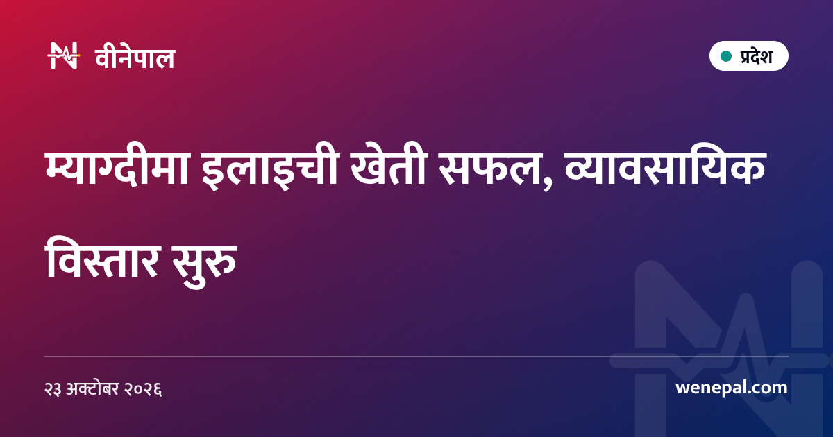 म्याग्दीमा इलाइची खेती सफल, व्यावसायिक विस्तार सुरु