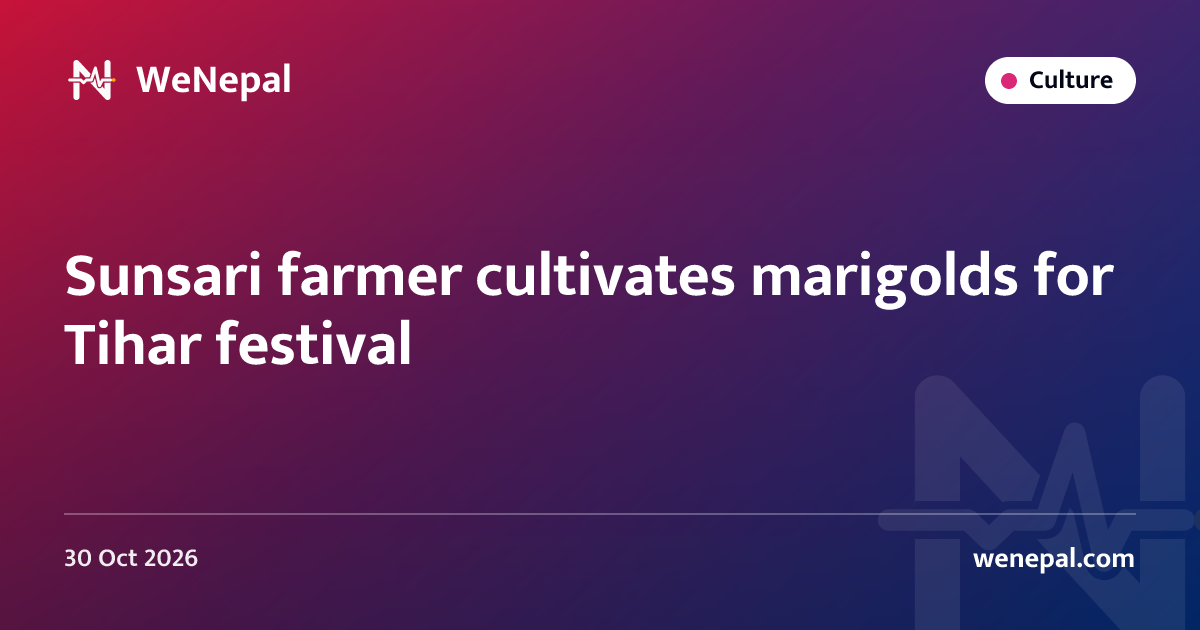 Sunsari farmer cultivates marigolds for Tihar festival