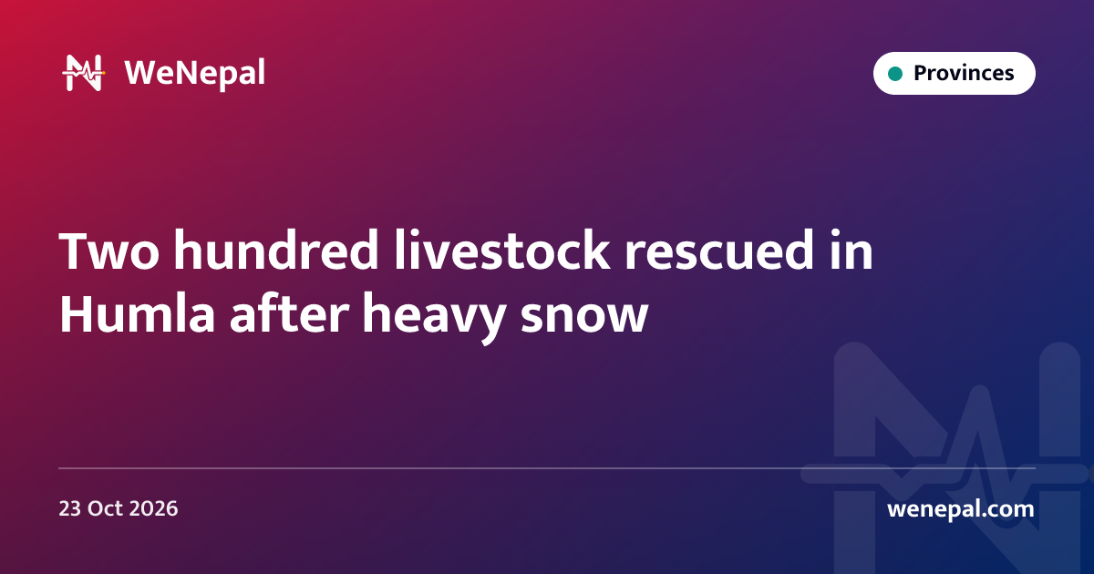 Two hundred livestock rescued in Humla after heavy snow