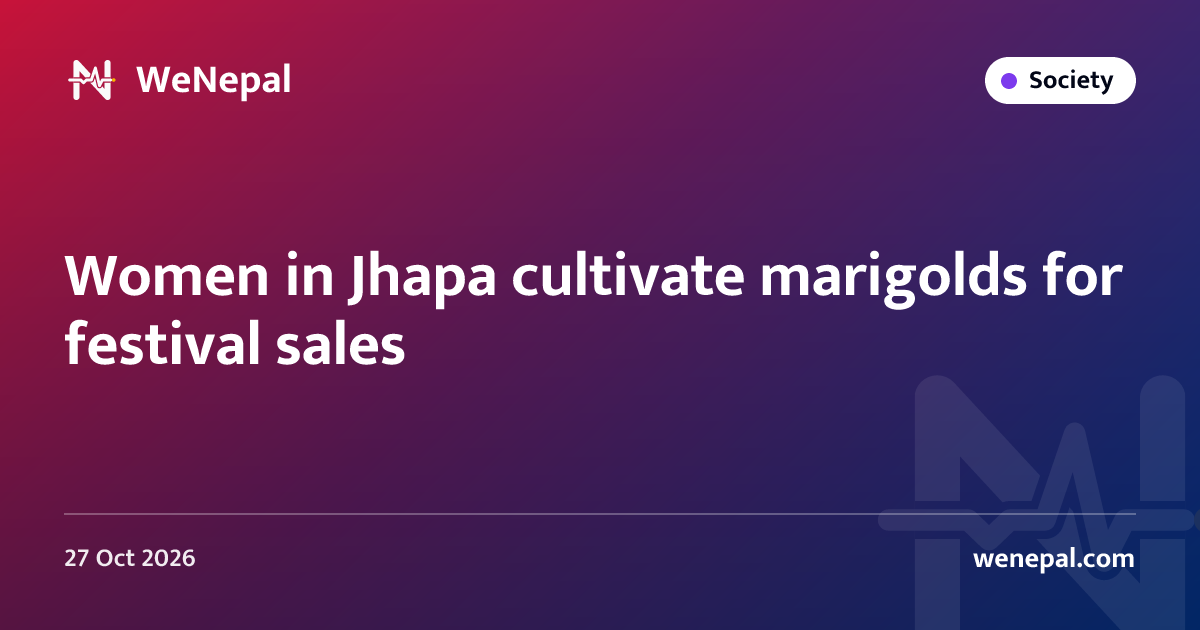 Women in Jhapa cultivate marigolds for festival sales