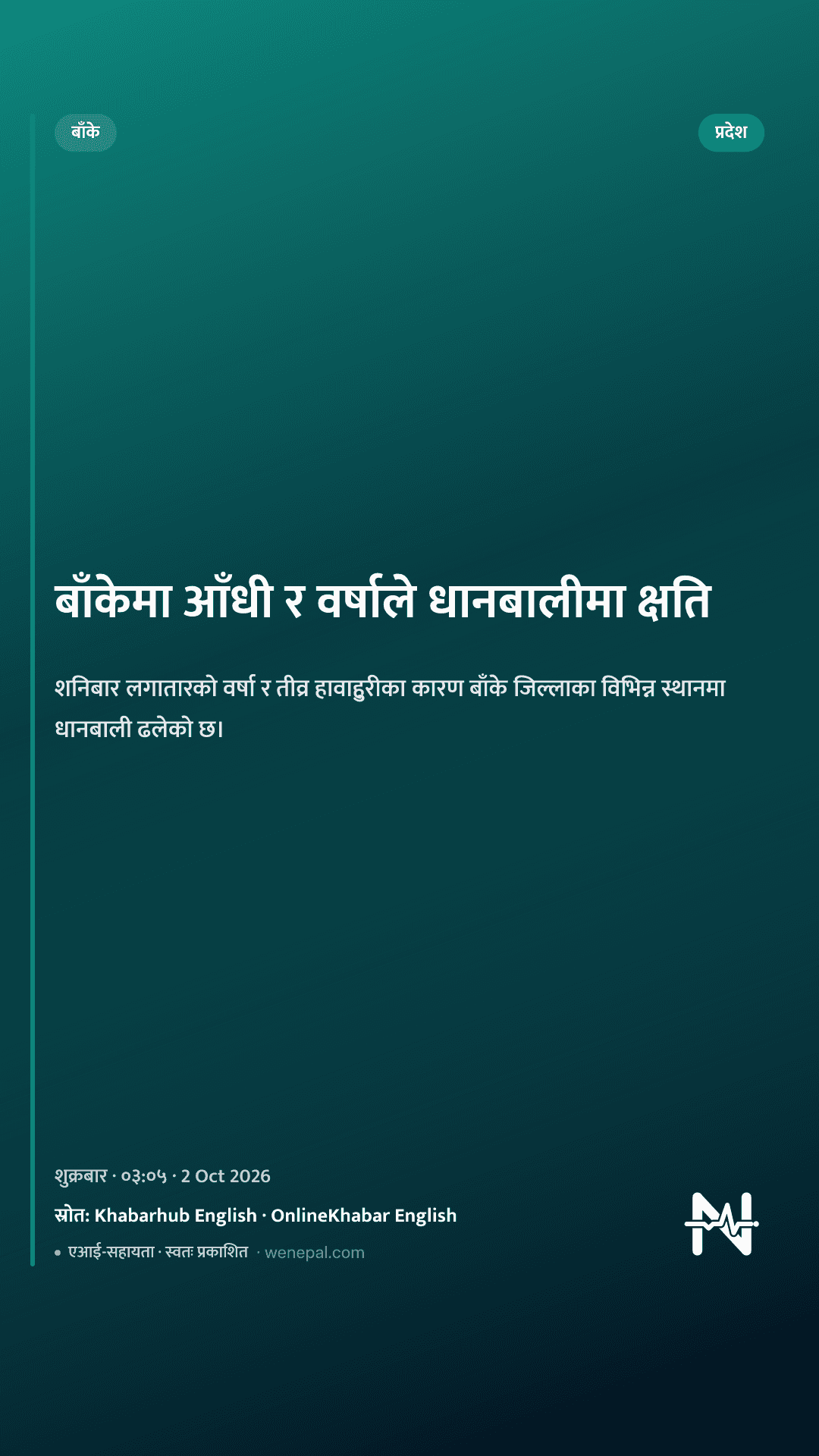 बाँकेमा आँधी र वर्षाले धानबालीमा क्षति