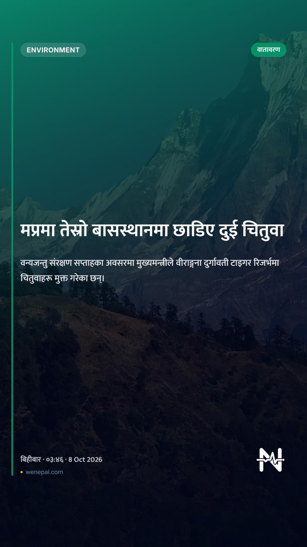 मप्रमा तेस्रो बासस्थानमा छाडिए दुई चितुवा