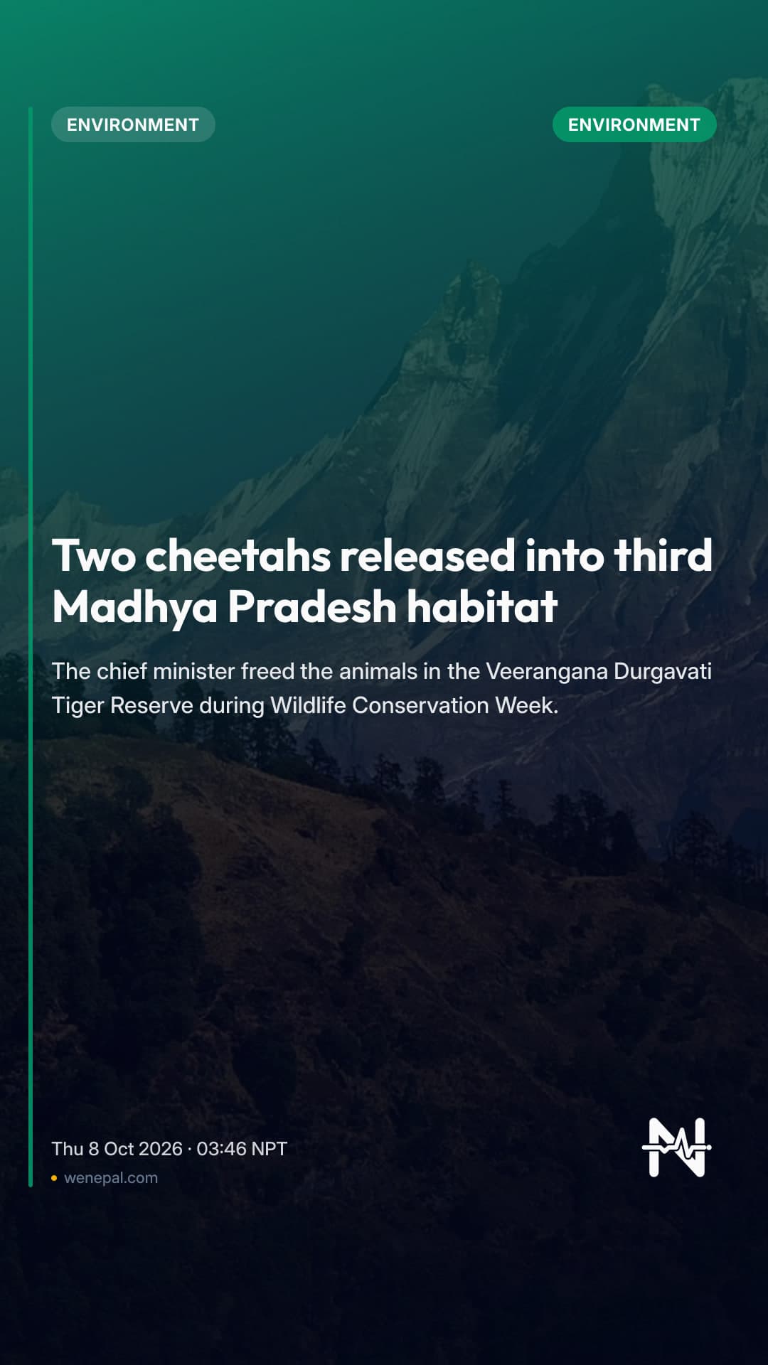 Two cheetahs released into third Madhya Pradesh habitat