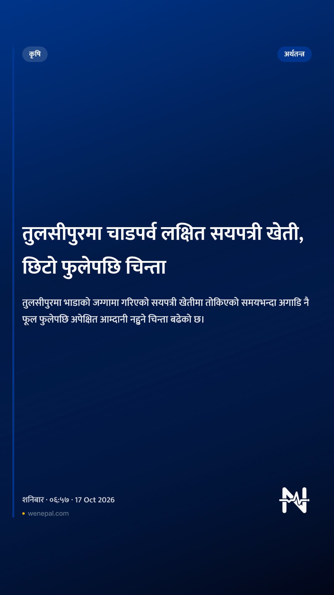 तुलसीपुरमा चाडपर्व लक्षित सयपत्री खेती, छिटो फुलेपछि चिन्ता