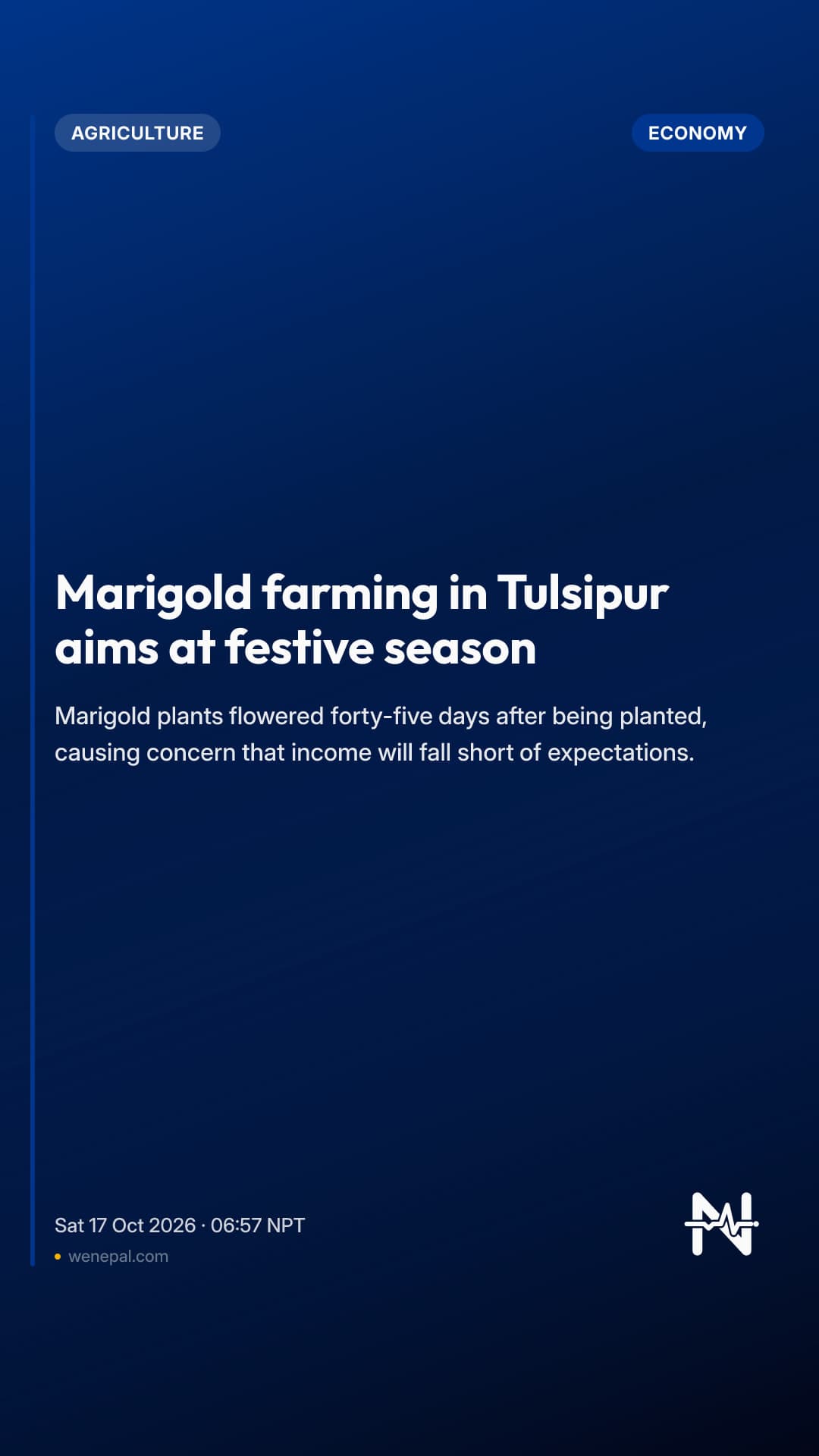 Marigold farming in Tulsipur aims at festive season
