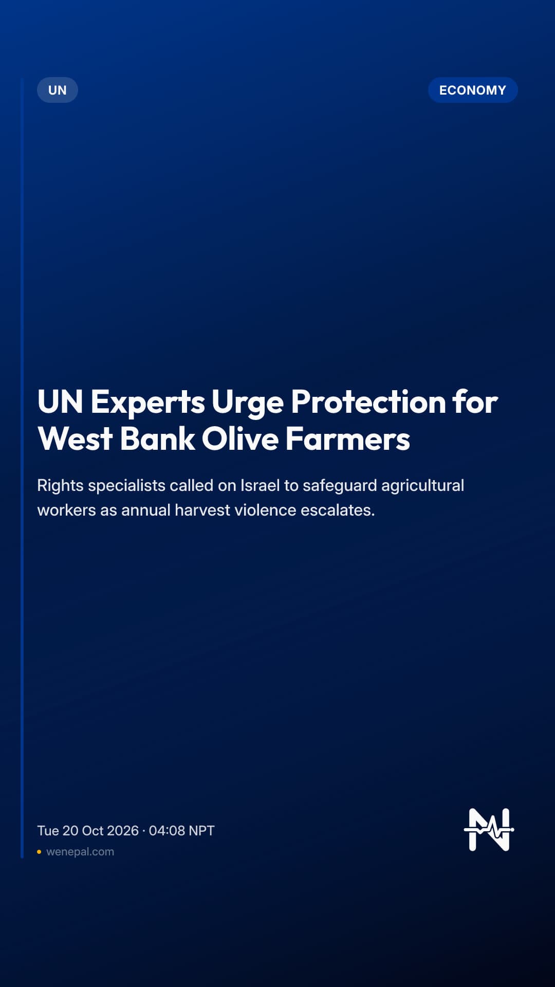 UN Experts Urge Protection for West Bank Olive Farmers