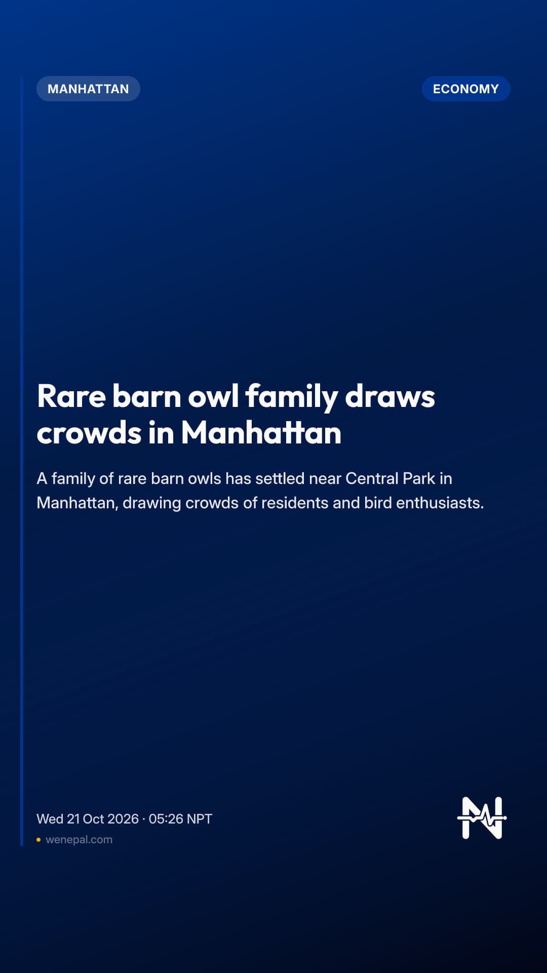 Rare barn owl family draws crowds in Manhattan