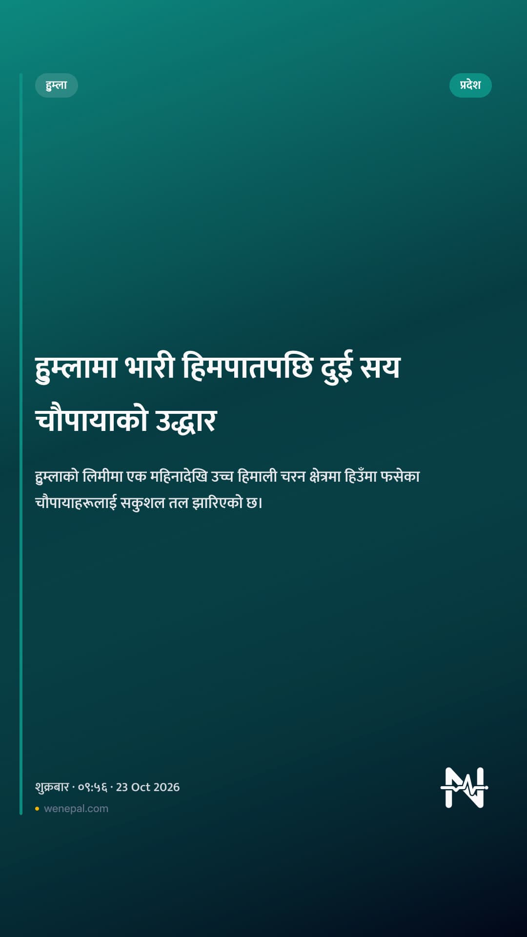 हुम्लामा भारी हिमपातपछि दुई सय चौपायाको उद्धार