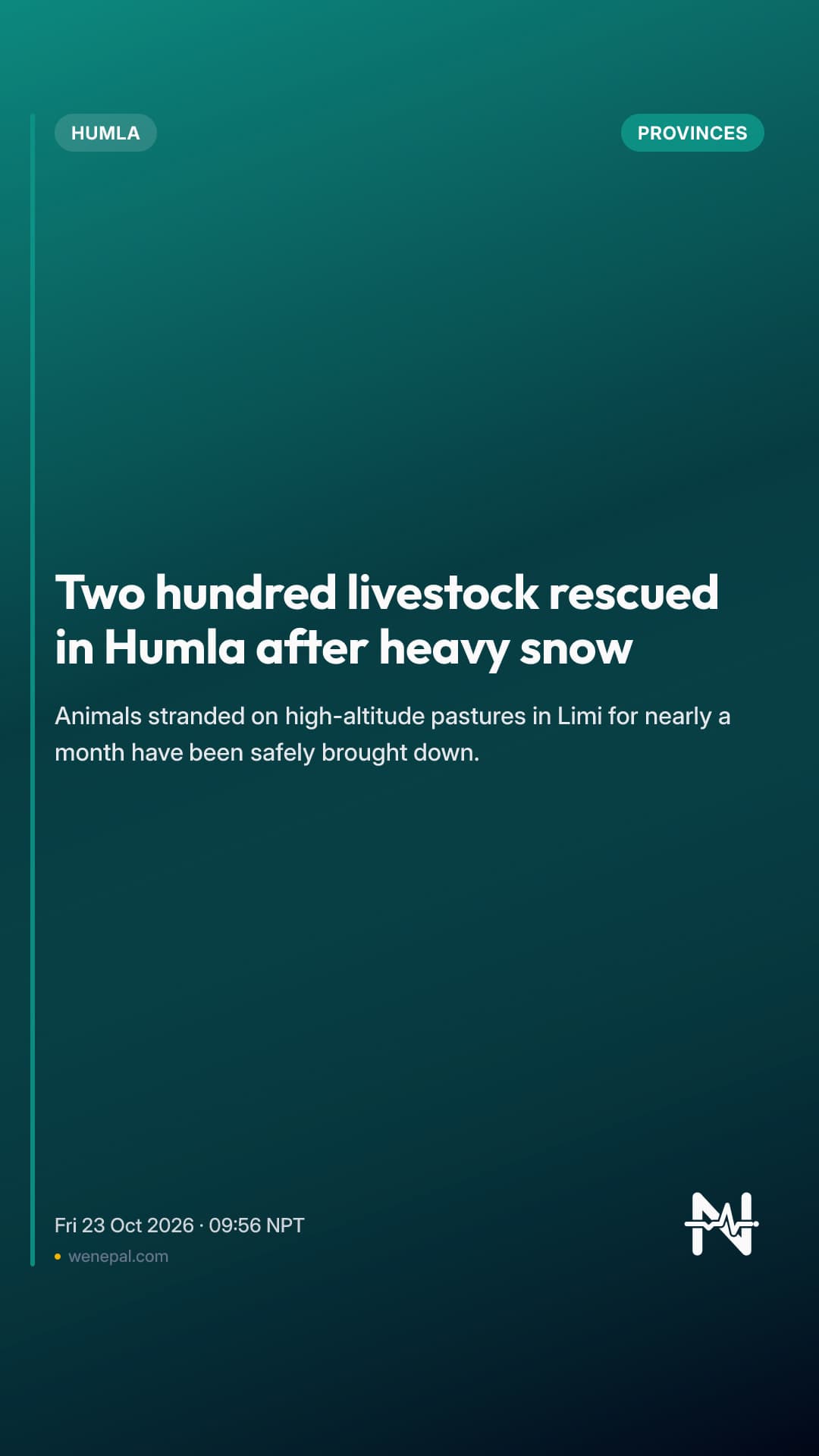 Two hundred livestock rescued in Humla after heavy snow