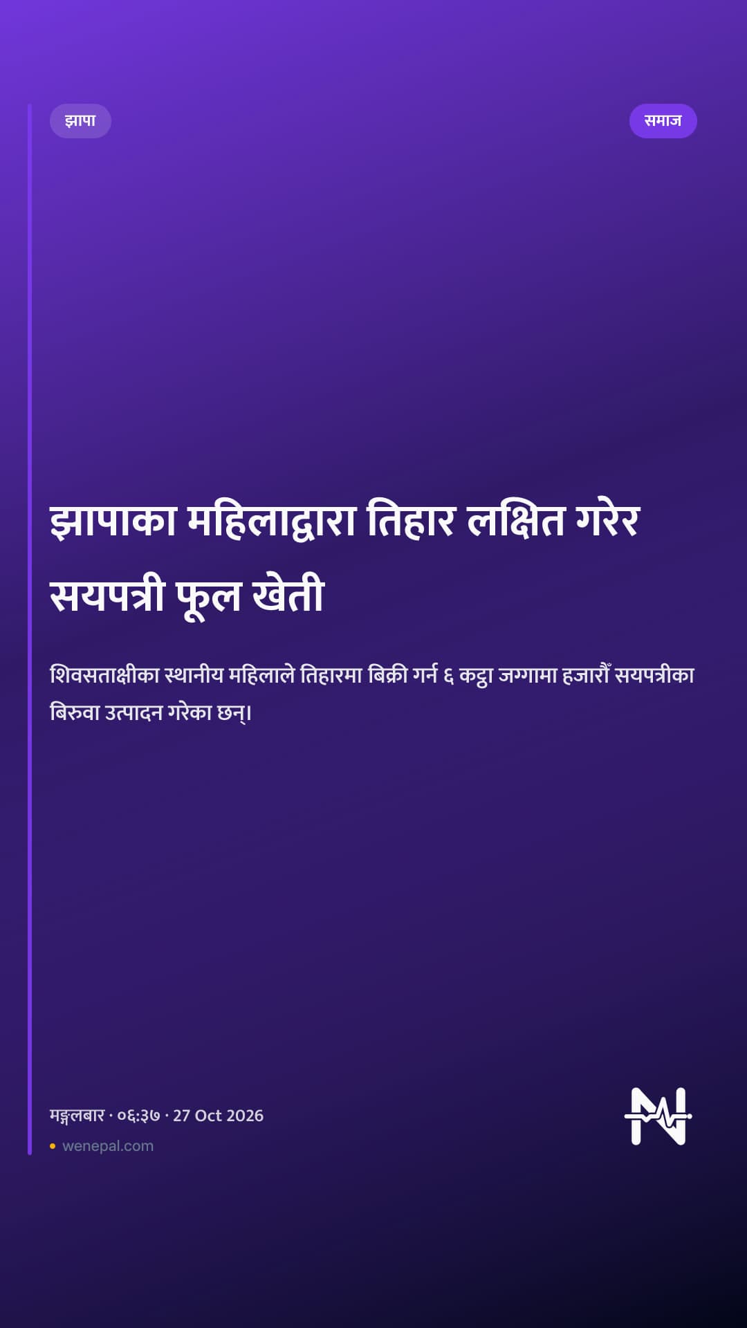 झापाका महिलाद्वारा तिहार लक्षित गरेर सयपत्री फूल खेती