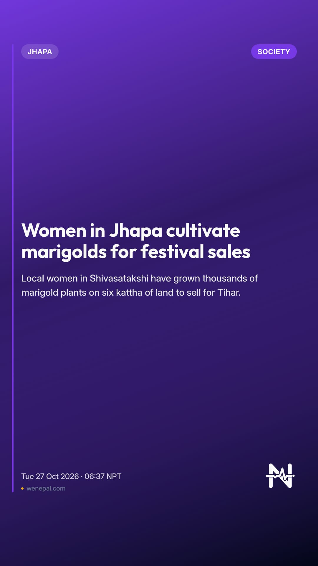 Women in Jhapa cultivate marigolds for festival sales