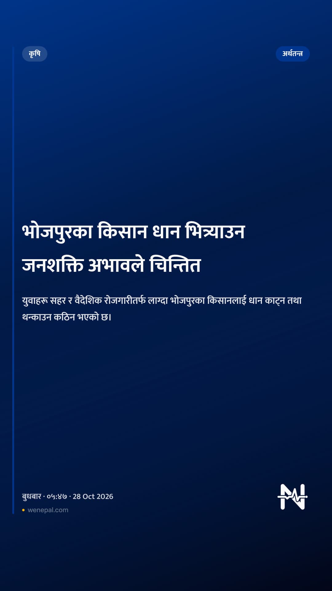 भोजपुरका किसान धान भित्र्याउन जनशक्ति अभावले चिन्तित