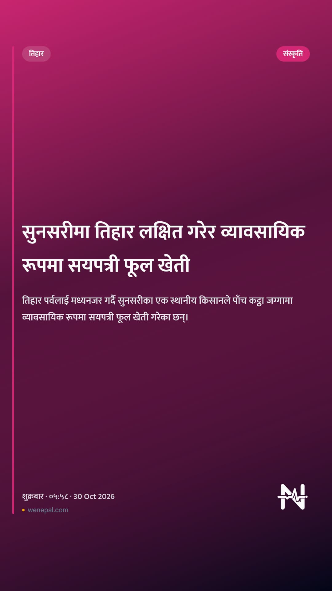 सुनसरीमा तिहार लक्षित गरेर व्यावसायिक रूपमा सयपत्री फूल खेती
