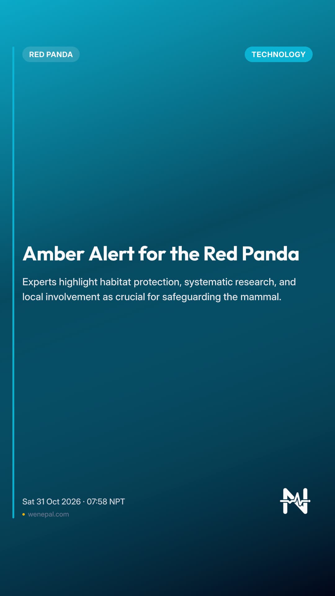 Amber Alert for the Red Panda