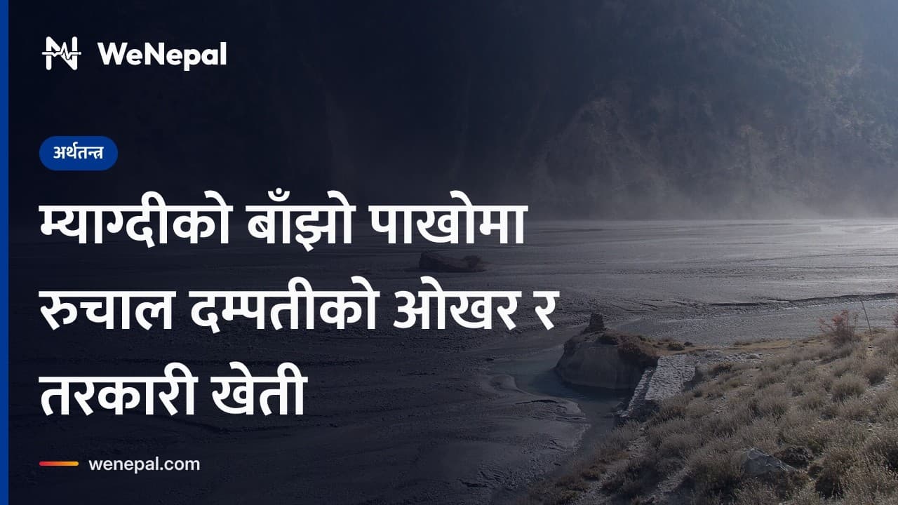 म्याग्दीको बाँझो पाखोमा रुचाल दम्पतीको ओखर र तरकारी खेती #Shorts