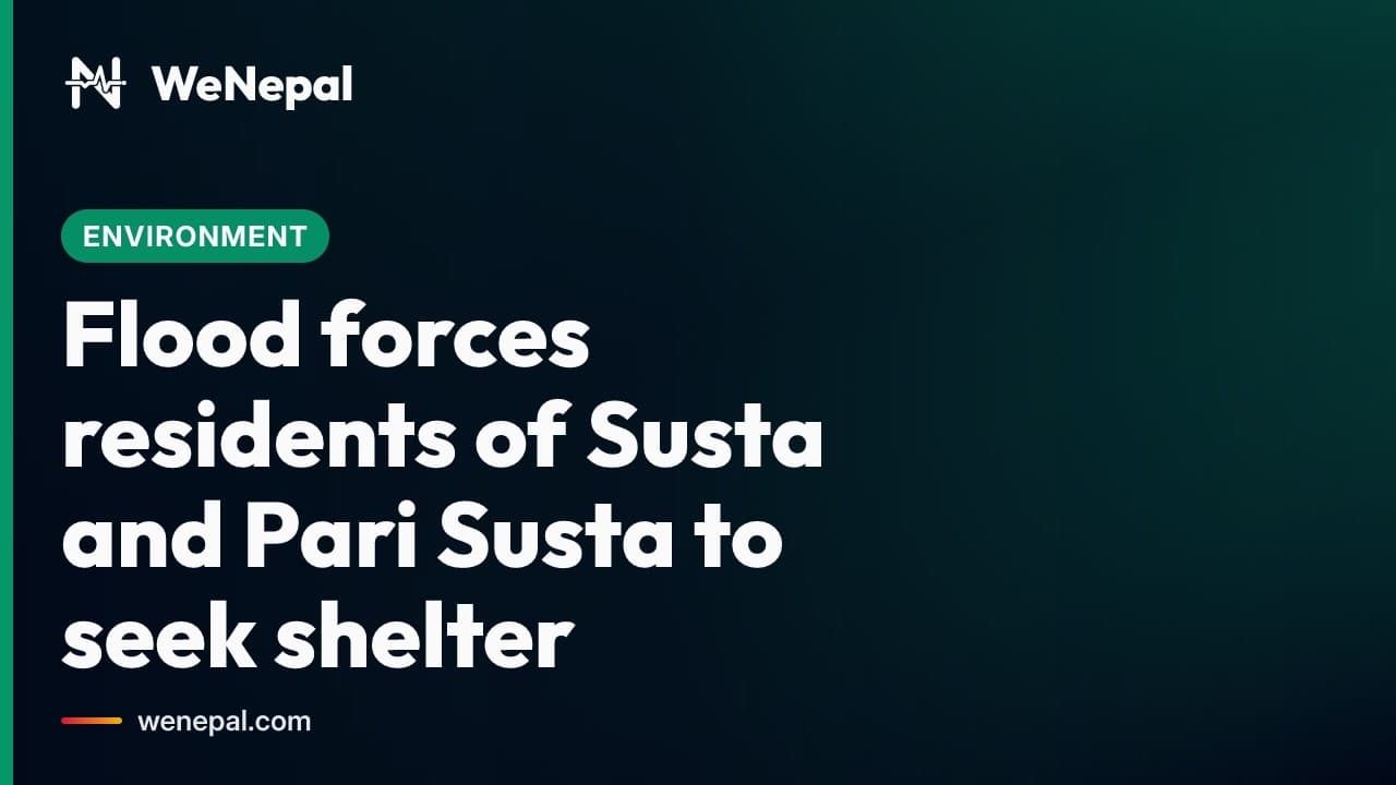 Susta Flood Displaces 78 Households #Shorts