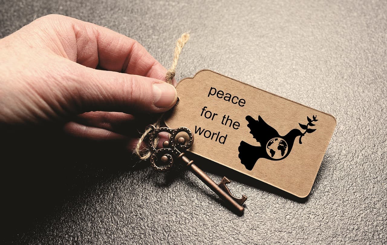 Peace is key solution to displacement, United Nations says