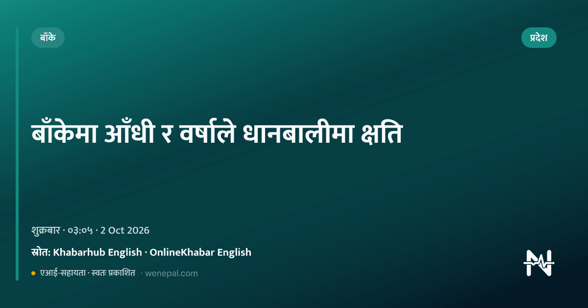 बाँकेमा आँधी र वर्षाले धानबालीमा क्षति