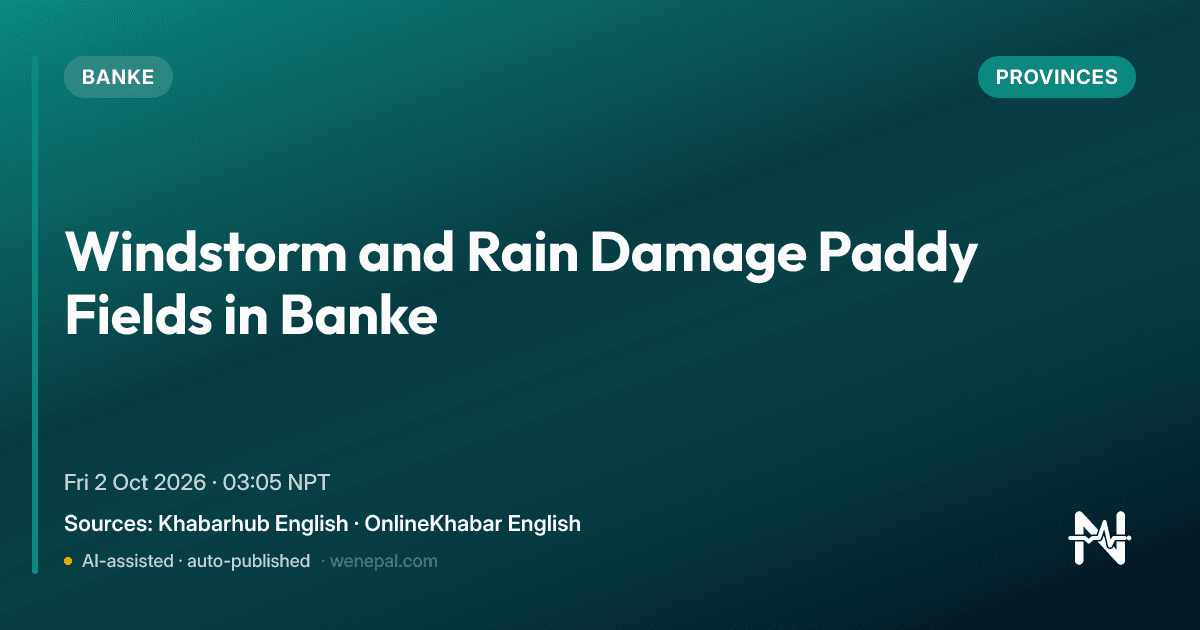 Windstorm and Rain Damage Paddy Fields in Banke