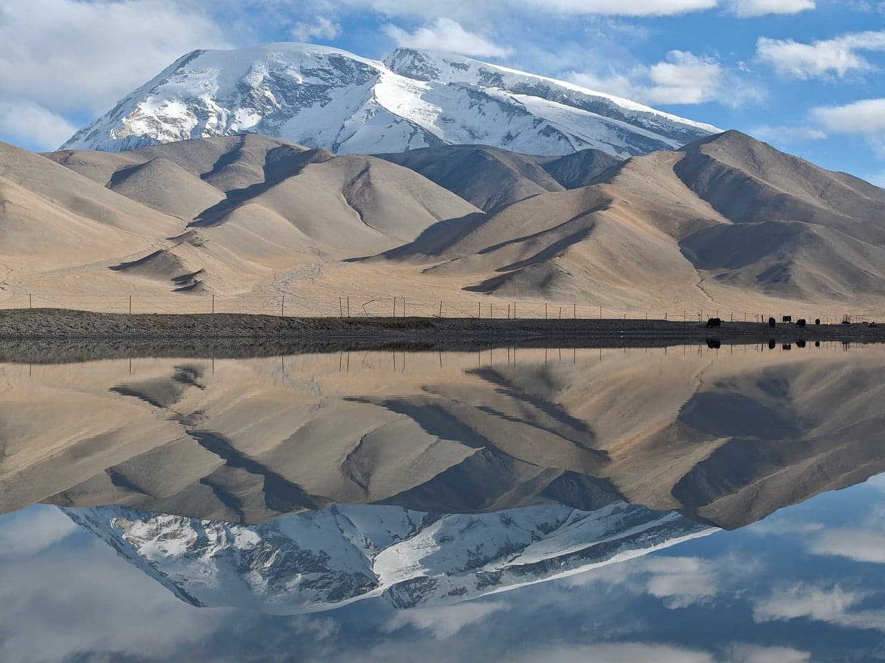 Powerful earthquake in Tibet kills 16 people