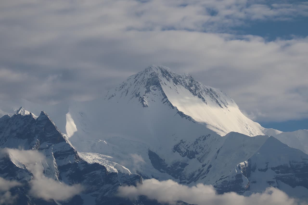 International Snow Leopard Day marked as climate change threatens habitats