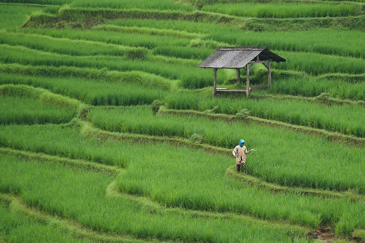 Agricultural zones boost commercial farming in Tanahun