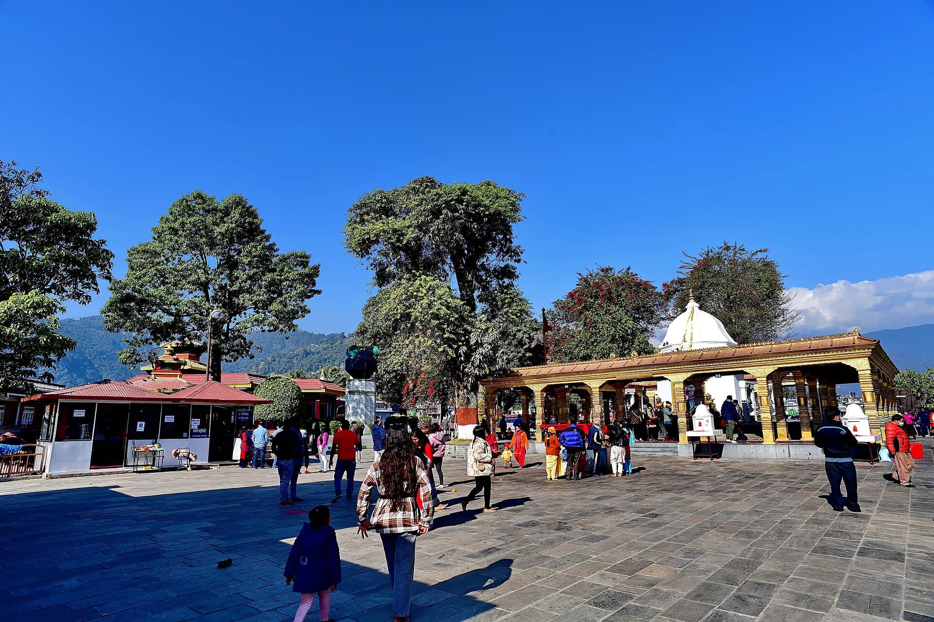 The famous Bindhyavasini temple located in Miruwa, Pokhara ward no 2. There are various legends about this Bindhyavasini Devi. King Siddhinarayan Shah was told by the king of Bindhyachal of India in…